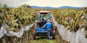 6 Video Production Strategies for Agricultural Industry