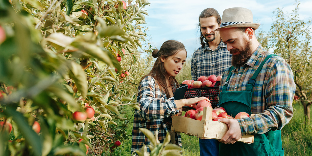 6 Video Production Strategies for Agricultural Industry: Boosting Sales and Brand Exposure with SEO Optimization